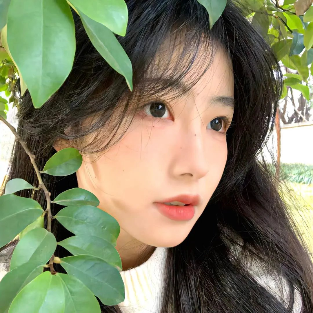龙族